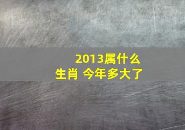 2013属什么生肖 今年多大了